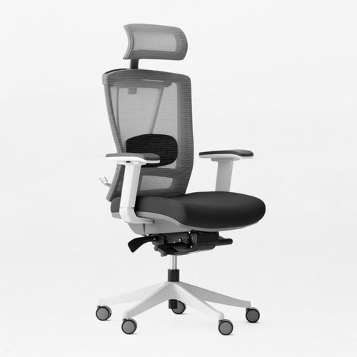 Autonomous ErgoChair Pro - Black and White  - Smart Live Now 2021