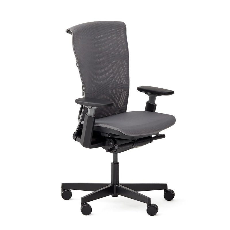 Autonomous ErgoChair Pro+ Black Frame-Grey TPE with Grey Mesh - Smart Live Now 2021