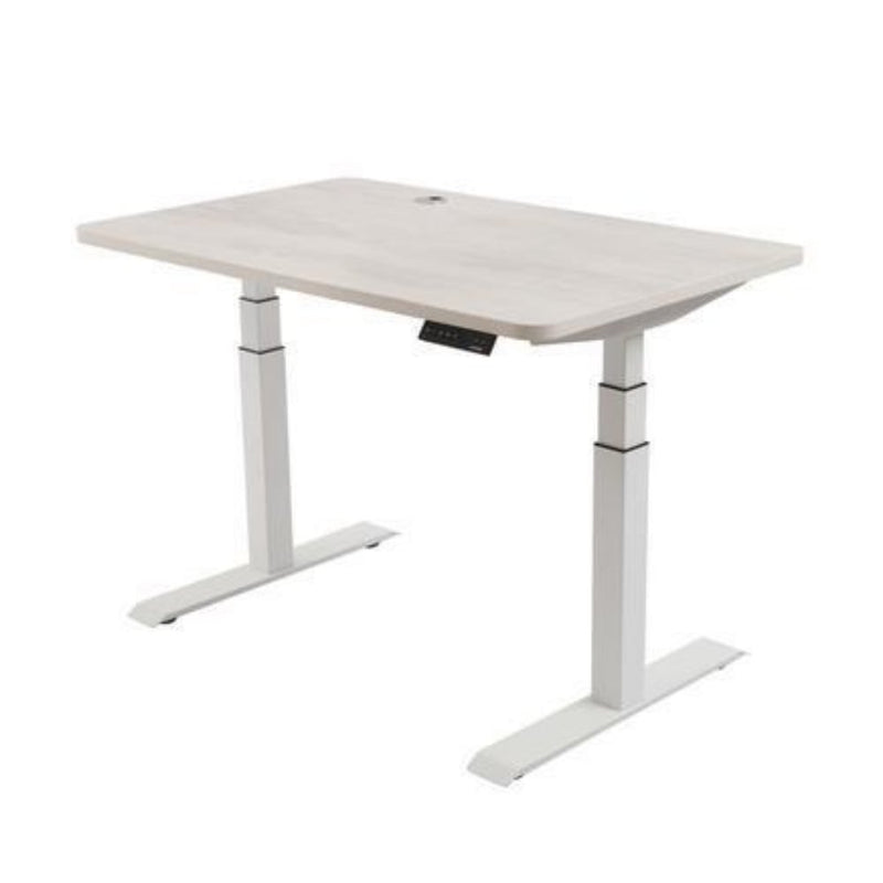 EFFYDESK Business Office Sit Stand Desk (Height Adjustable Electric Standing Desk) - Small Small 120x75x2.5cm / White / Oak White - Smart Live Now 2021