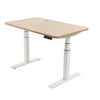 EFFYDESK Business Office Sit Stand Desk (Height Adjustable Electric Standing Desk) - Medium Medium 150x75x2.5cm / White / Oak Wood - Smart Live Now 2021