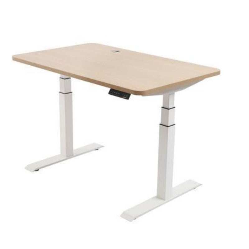 EFFYDESK Business Office Sit Stand Desk (Height Adjustable Electric Standing Desk) - Medium Medium 150x75x2.5cm / White / Oak Wood - Smart Live Now 2021