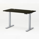 Autonomous SmartDesk Pro - Dark Bamboo Top Dark Bamboo / Gray - Smart Live Now 2021