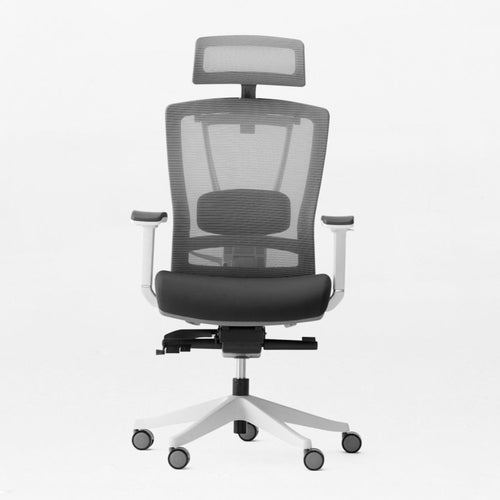 Autonomous ErgoChair Pro - Black and White  - Smart Live Now 2021