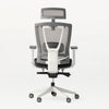 Autonomous ErgoChair Pro - Black and White  - Smart Live Now 2021