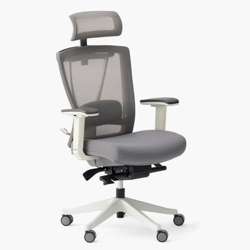 Autonomous ErgoChair Pro - Cool Gray  - Smart Live Now 2021