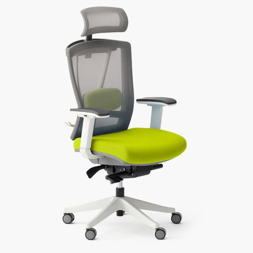 Autonomous ErgoChair Pro - EverGreen  - Smart Live Now 2021